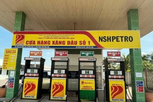 Dầu khí Nam Sông Hậu dẫn đầu danh sách nợ thuế tại Cần Thơ