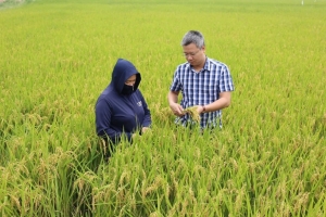 Tăng cường kiểm soát chất lượng từ gốc để bảo đảm an toàn thực phẩm