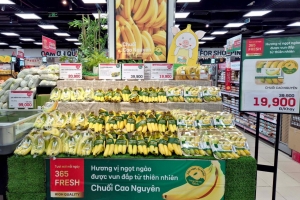 Lotte Mart mở rộng nguồn cung nông sản xanh từ HAGL