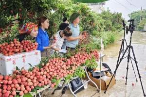 Hà Nội tăng tốc đưa nông sản lên môi trường số