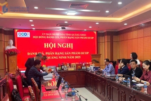 Đánh giá, phân hạng sản phẩm OCOP tỉnh Quảng Ninh năm 2025