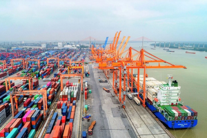 Logistics Việt Nam trước thời cơ bứt phá trở thành mắt xích chiến lược của chuỗi cung ứng toàn cầu