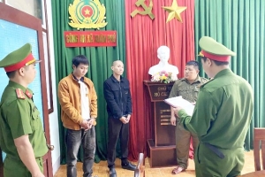 Đà Nẵng: Công an xã Xuân Phú bắt 2 đối tượng trộm cây mai vàng cảnh trị giá 80 triệu đồng