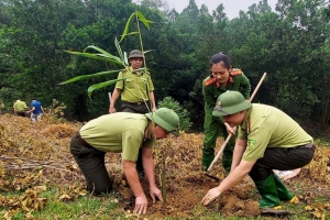 Lào Cai: Công tác quản lý, bảo vệ và phát triển rừng đạt nhiều kết quả tích cực