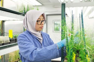 Các nhà khoa học hàng đầu thế giới hiến kế nuôi sống 10 tỷ người tại Tuần lễ Khoa học Công nghệ VinFuture 2025