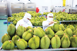 Một năm bứt phá của nông sản Việt