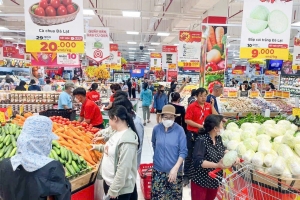 TP.HCM chủ động tăng nguồn cung, giữ ổn định thị trường Tết Bính Ngọ 2026