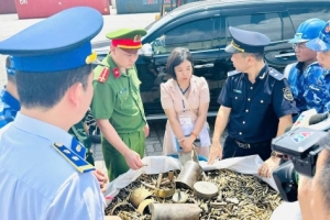 Việt Nam tham gia Hội nghị Chống buôn bán trái phép rác thải nguy hại cấp khu vực tại Philippines