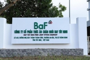 BaF Việt Nam (BAF) được chấp thuận phát hành 1.000 tỷ đồng trái phiếu