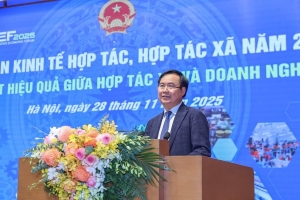 "Coi hợp tác xã là trung tâm liên kết và doanh nghiệp là lực kéo chủ đạo"