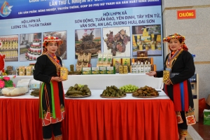 Trưng bày, kết nối tiêu thụ sản phẩm tiêu biểu tại Đại hội đại biểu Phụ nữ tỉnh Bắc Ninh