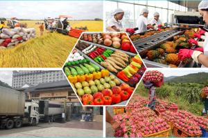 Chính sách thuế mới hỗ trợ doanh nghiệp nông nghiệp, thúc đẩy xuất khẩu