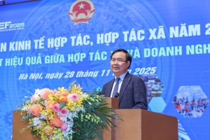 Nông nghiệp hiện đại: Liên kết hợp tác xã và doanh nghiệp nâng cao hiệu quả sản xuất