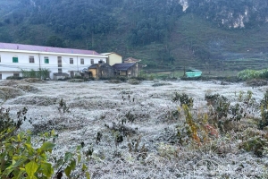 Băng giá xuất hiện tại nhiều xã vùng cao Tuyên Quang