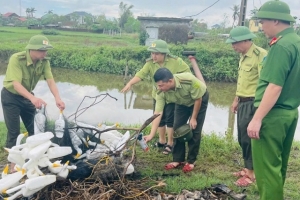 Nghệ An tăng cường truy quét, tiêu hủy hơn 21.000m lưới bẫy chim trời