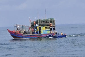 Nghệ An tăng cường kiểm soát, xử phạt gần 500 trường hợp vi phạm khai thác hải sản bất hợp pháp