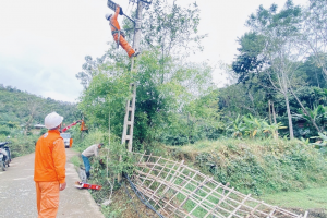 Thắp sáng đường quê góp phần bảo đảm an ninh trật tự và xây dựng nông thôn mới