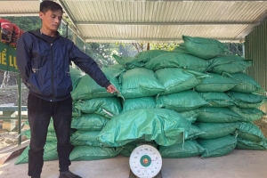 Cao Bằng: Phát hiện, bắt giữ 2 vụ vận chuyển hàng hóa không rõ nguồn gốc