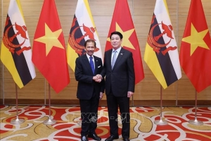 Chủ tịch nước Lương Cường chủ trì chiêu đãi cấp nhà nước Quốc vương Brunei