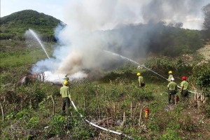 TP. HCM thành lập Hạt Kiểm lâm rừng đặc dụng Vườn Quốc gia Côn Đảo