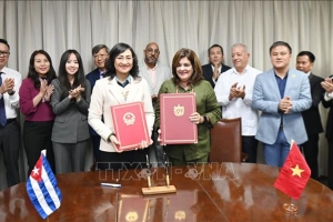 65 năm quan hệ Việt Nam - Cuba: Phấn đấu nâng trao đổi thương mại lên 500 triệu USD