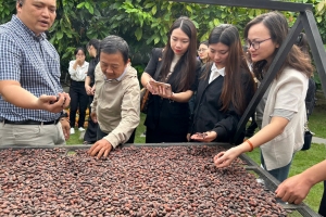 Ca cao Việt Nam: Hành trình biến hạt nhỏ thành “vàng nâu” quốc tế
