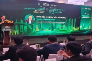 Bất động sản Vùng động lực phía Nam - Thời cơ vàng để bứt phá