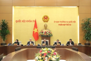 Giảm khoảng trống, tăng hiệu quả xử lý vi phạm nhỏ lẻ về môi trường