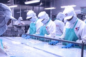 Thủy sản Cà Mau sẽ trả cổ tức bằng tiền mặt với tỷ lệ 15%