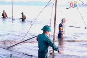 Quảng Ninh siết chặt thực thi pháp luật thủy sản