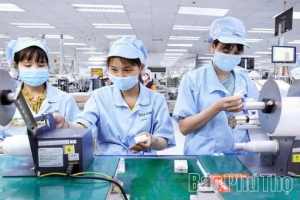 Phú Thọ trở thành “điểm hội tụ mới” của các nhà đầu tư Hàn Quốc