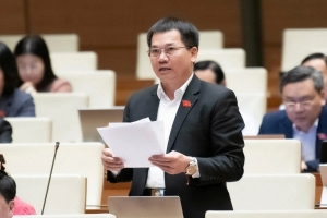 Đại biểu quốc hội: Sau thiên tai, nhiều gia đình đã trở lại điểm xuất phát vì không còn gì