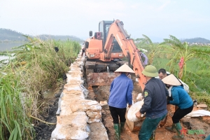 Quảng Ninh tăng tốc thi công, sửa chữa, nâng cấp các công trình đê