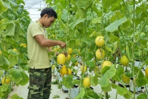 Khu vực kinh tế tập thể, hợp tác xã và những kết quả đáng ghi nhận