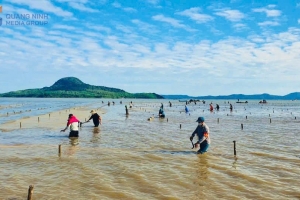 Quảng Ninh lập lại trật tự trong nuôi trồng thủy sản