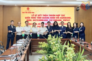 Thuế Quảng Ninh ký kết hợp tác hỗ trợ hộ kinh doanh chuyển đổi phương pháp tính thuế