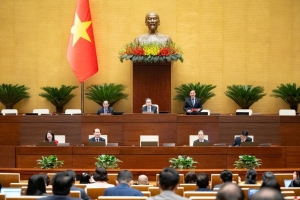 Đại biểu Quốc hội đề nghị tấn công mạnh tội phạm công nghệ cao, hàng giả, thực phẩm bẩn