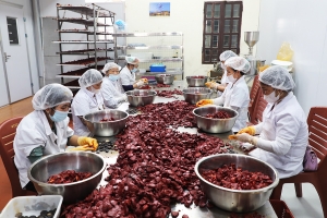 Bắc Ninh: Hơn 175.000 hội viên nông dân đạt danh hiệu “Nông dân sản xuất kinh doanh giỏi” các cấp