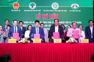 Quảng Trị tăng cường liên kết phát triển nông nghiệp hữu cơ, tuần hoàn giai đoạn 2026 - 2030