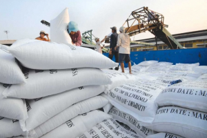 Xuất khẩu gạo Việt Nam giảm mạnh do biến động thị trường Philippines