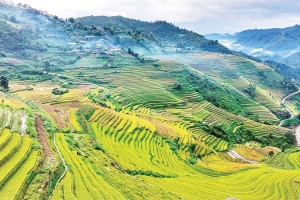 Trải nghiệm du lịch cộng đồng độc đáo cùng người Mông ở Mù Cang Chải