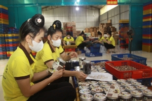 Phát triển OCOP gắn với nông thôn mới: Hướng đi bền vững của xã Yên Châu