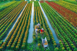 Phát huy tinh thần hợp tác vì lợi ích chung