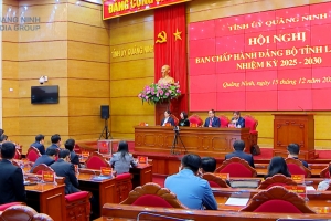 Quảng Ninh bầu bổ sung Ủy viên Ủy ban Kiểm tra Tỉnh ủy nhiệm kỳ 2025-2030