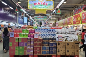 TP. HCM chủ động nguồn hàng Tết và kích cầu tiêu dùng cuối năm