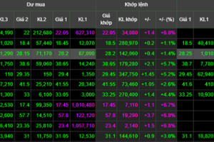 Chứng khoán ngày 18/12: Lực cầu bluechip trở lại, VN-Index hồi phục trong ngày đáo hạn phái sinh