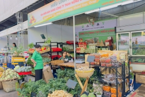 Sắc màu nông sản vùng miền hội tụ tại “Phiên chợ Bình Đông” năm 2025