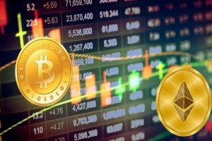 Tuần 29/12–2/1: Loạt doanh nghiệp chốt quyền cổ tức tiền mặt, cao nhất 30%