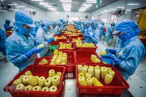 Xuất khẩu rau quả sang Thái Lan trong 11 tháng giảm 60% so với cùng kỳ