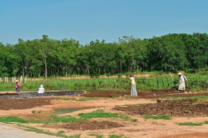 Tây Ninh ban hành chính sách hỗ trợ về đất đai đối với đồng bào dân tộc thiểu số